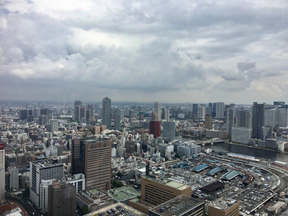 🛍️ 카레타 시오도메 이미지 5